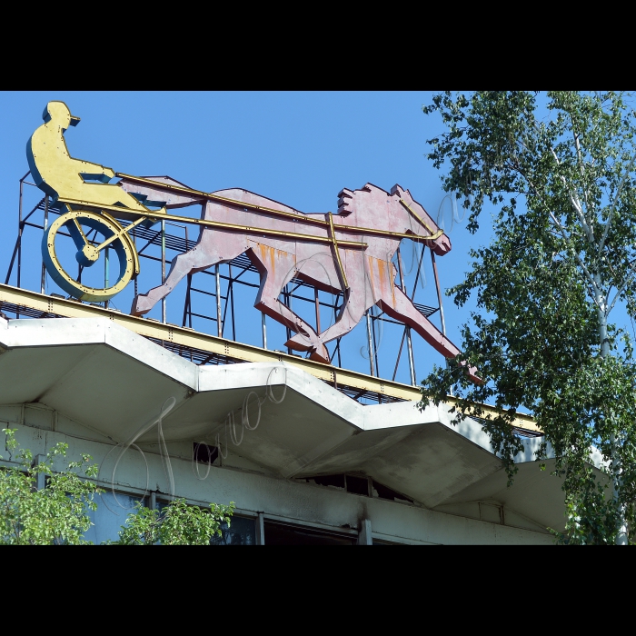 Київ. КП «Київський іподром». Благодійна організація