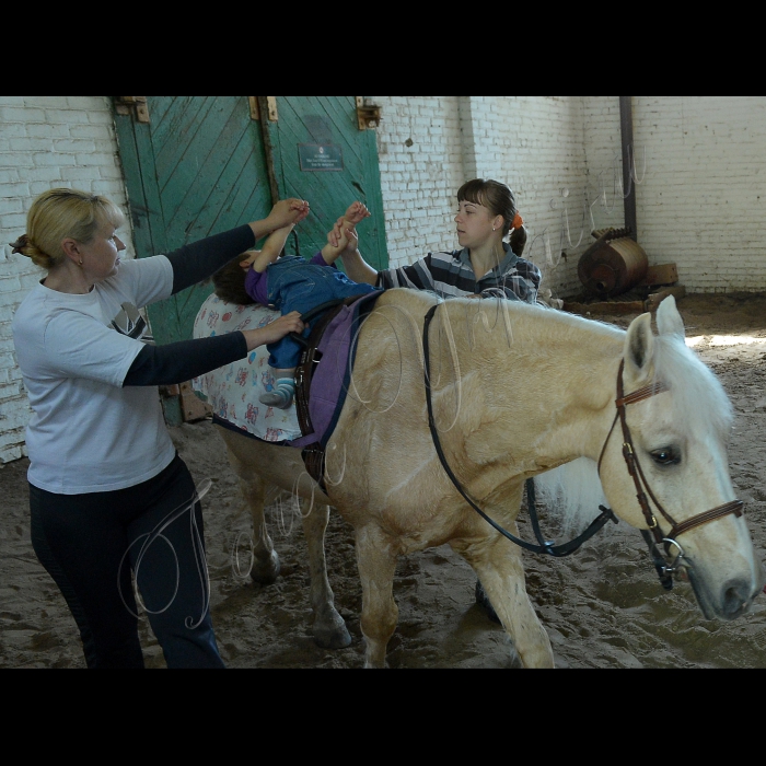 Київ. КП «Київський іподром». Благодійна організація