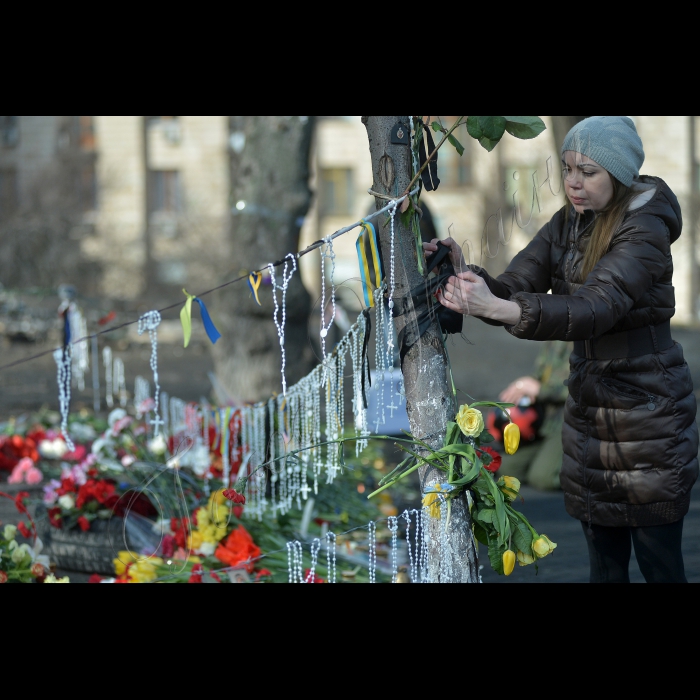 Київ. Євромайдан, Майдан Незалежності, вул. Інститутська, вул. Банкова.
Квіти загиблим.
