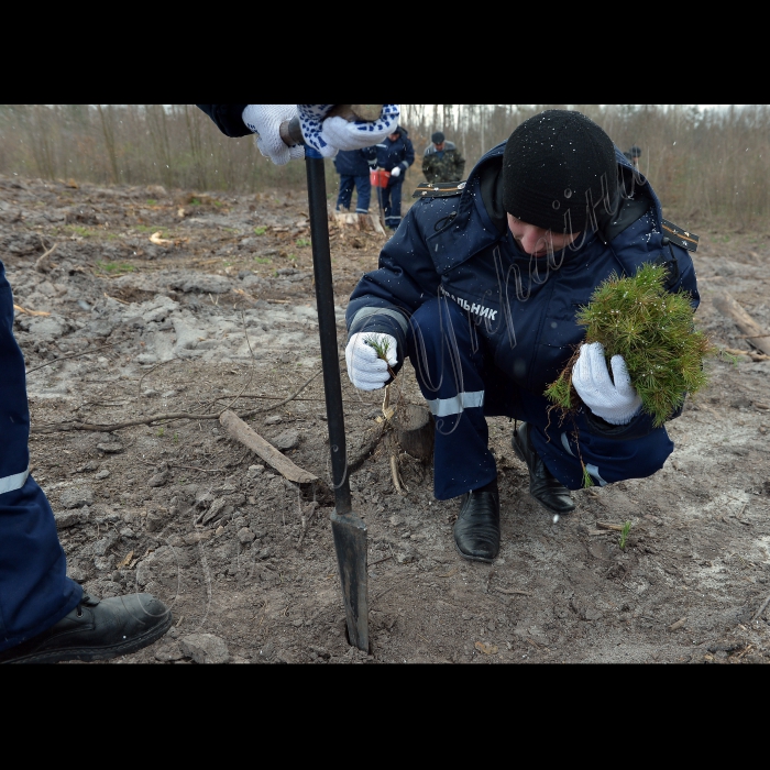 До Дня довкілля рятувальники Київщини разом із працівниками Ірпінського лісництва Київського Держлісгоспу провели спільну акцію «Посади дерево - збережи ліс» (с. Червоний Хутір Києво-Святошинського району).
