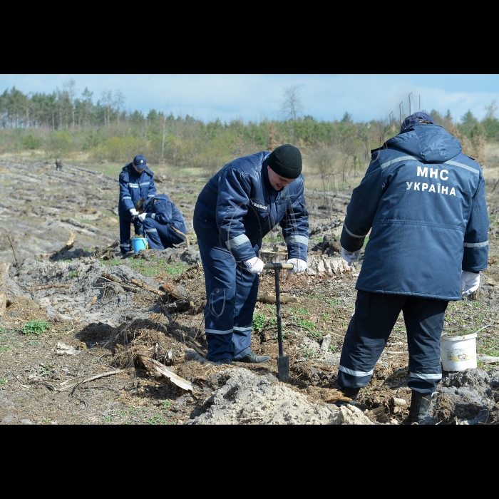 До Дня довкілля рятувальники Київщини разом із працівниками Ірпінського лісництва Київського Держлісгоспу провели спільну акцію «Посади дерево - збережи ліс» (с. Червоний Хутір Києво-Святошинського району).