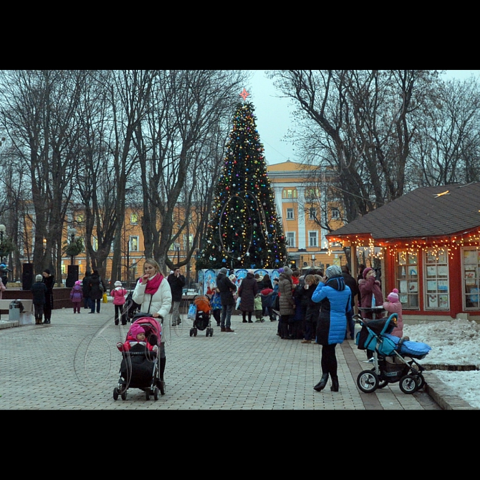 Київ. У парку Т. Шевченка відбулось відкриття новорічної ялинки
