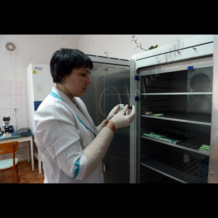 Тернопільська область, Бережани. Комунальна установа Тернопільської облради «Бережанський обласний протитуберкульозний диспансер».
