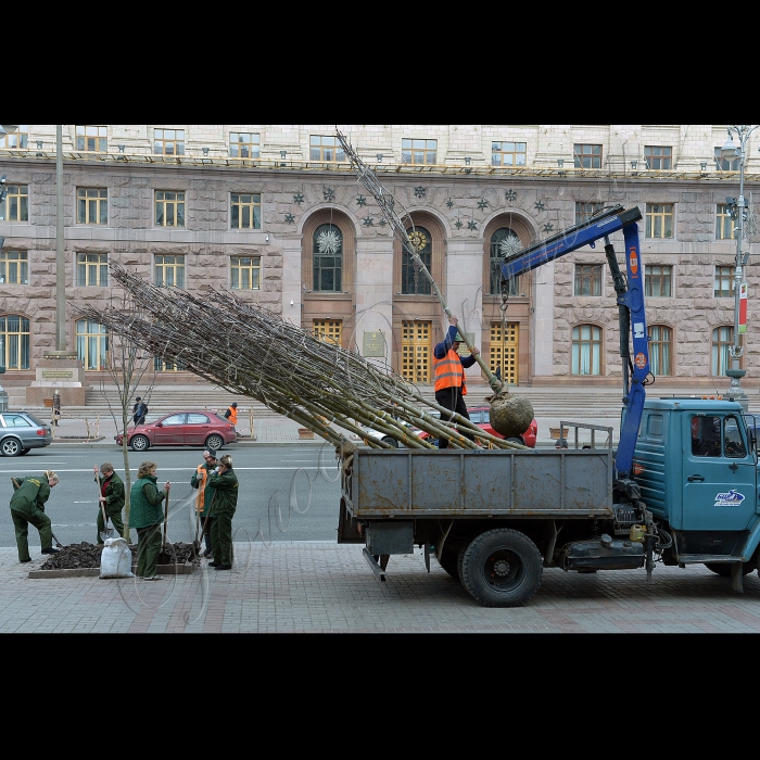 На головній вулиці Києва висадили оригінальні каштани. Голова Київської міської державної адміністрації Олександр Попов разом зі столичними зеленбудівцями та представниками компанії UDP саджають на Хрещатику каштани Бріоті.