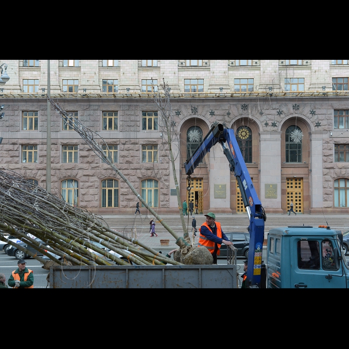 На головній вулиці Києва висадили оригінальні каштани. Голова Київської міської державної адміністрації Олександр Попов разом зі столичними зеленбудівцями та представниками компанії UDP саджають на Хрещатику каштани Бріоті.