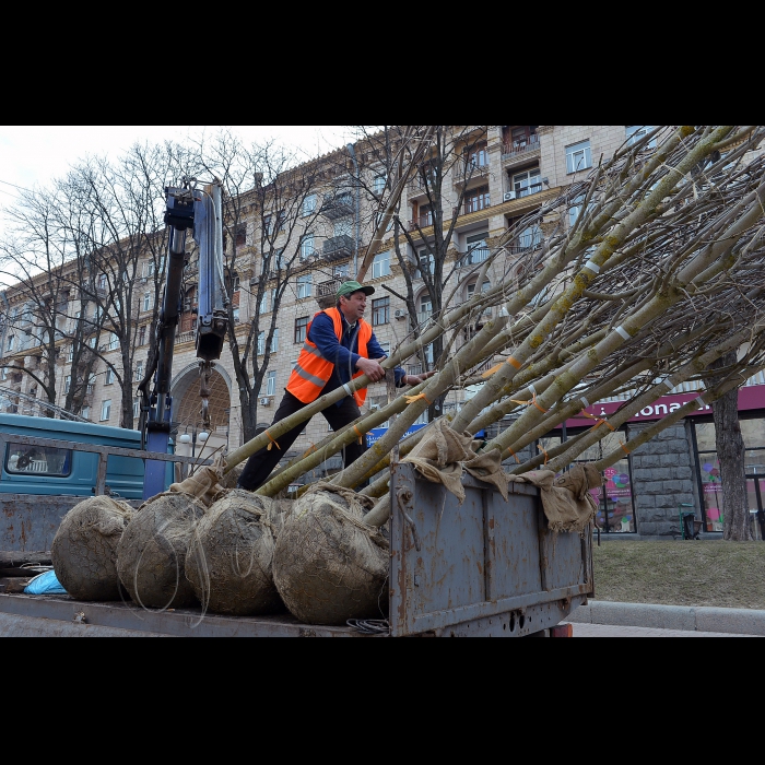 На головній вулиці Києва висадили оригінальні каштани. Голова Київської міської державної адміністрації Олександр Попов разом зі столичними зеленбудівцями та представниками компанії UDP саджають на Хрещатику каштани Бріоті.