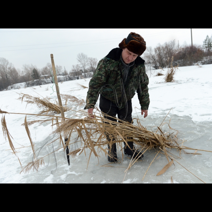 На Канівському водосховищі поблизу с. Кілов відбулася акція з попередження заморних явищ риби в зимовий період, організована Держрибагентством України. Незважаючи на недавнє потепління, в деяких водоймах, скутих кригою, відзначається значне зниження рівня кисню у воді. Тому в областях, де є  така ситуація, проводяться  широкомасштабні спільні заходи з попередження явищ задухи риби.  Однією з таких ділянок  є гирло р. Павлівка в акваторії Канівського водосховища. В акції візьмуть участь керівництво та працівники Київрибоохорони, рибалки-промисловики та представники громадських організацій рибалок-аматорів.  