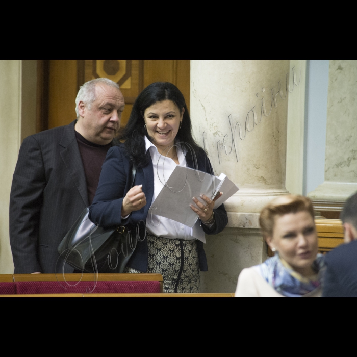 Пленарне засідання ВР України.
Гринів, Іванна Климпуш-Цинцадзе;