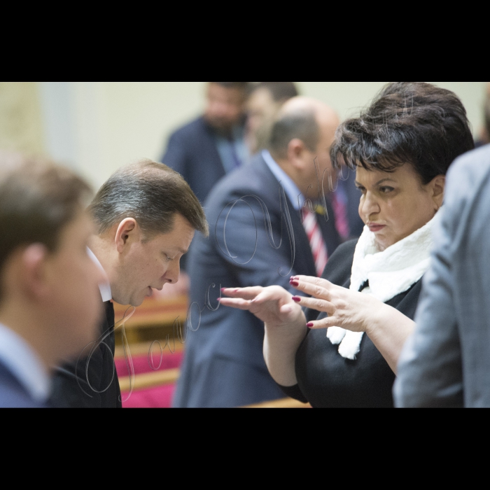 Пленарне засідання ВР України.
Олег Ляшко, Ірина Єфремова;
