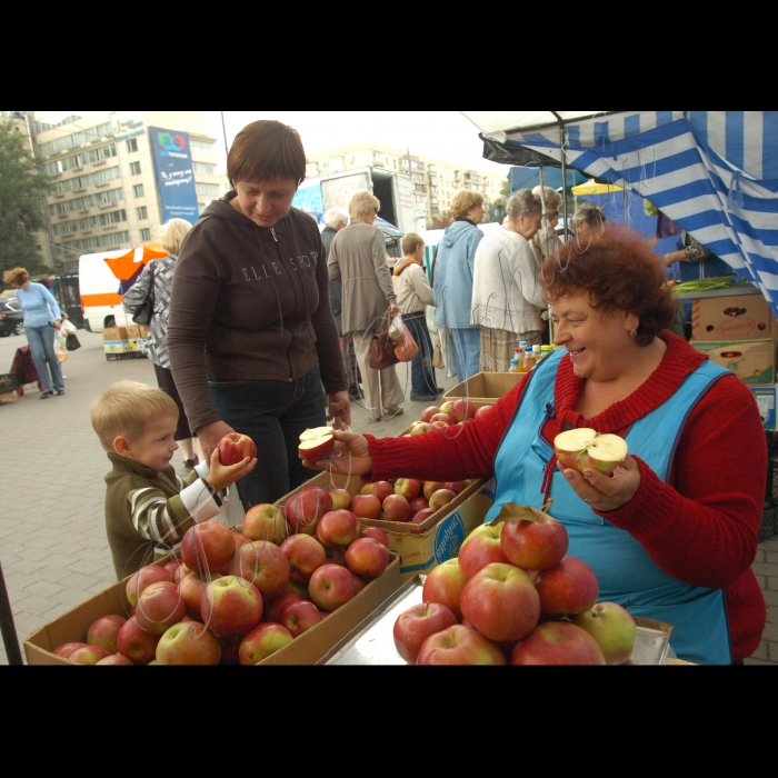Ярмарок на площі Лесі Українки, продаж яблук, меду.