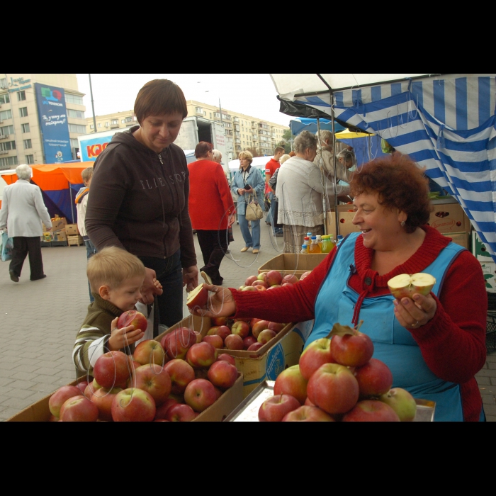 Ярмарок на площі Лесі Українки, продаж яблук, меду.