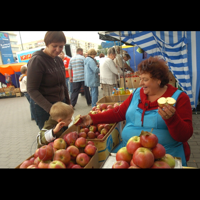 Ярмарок на площі Лесі Українки, продаж яблук, меду.