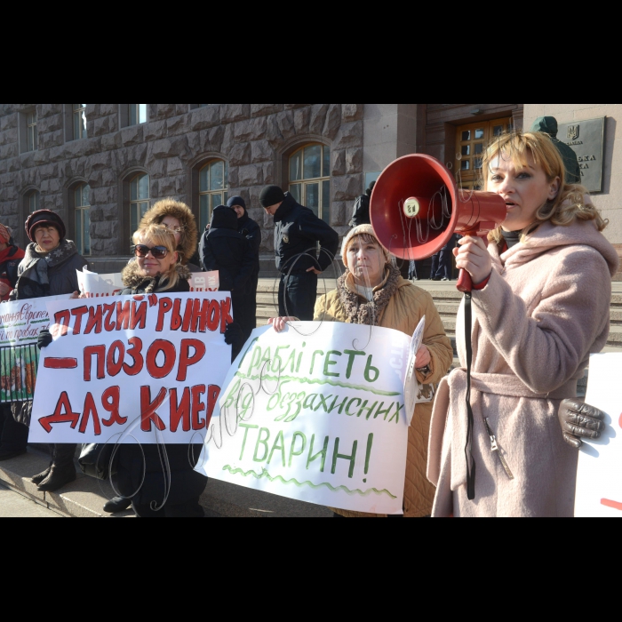 Біля Київської міської ради відбулася акція «Закрити «Пташиний ринок»!»