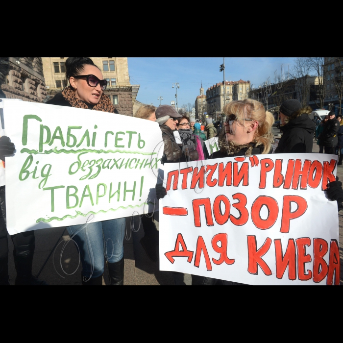 Біля Київської міської ради відбулася акція «Закрити «Пташиний ринок»!». Захисники тварин протестували проти жорстокого поводження з тваринами, якими торгують на Куренівському («Пташиному») ринку. Торговці утримують собак, котів, саламандр в холодних залізних ящиках, обробляють тварин заколисливою рідиною. Вимога акції: відміна виділення земельної ділянки для ТОВ «Куренівський ринок». Учасники акції мають намір домогтися зустрічі з Київським міським головою Віталієм Кличком. Організатори: зоозахисники Києва. 