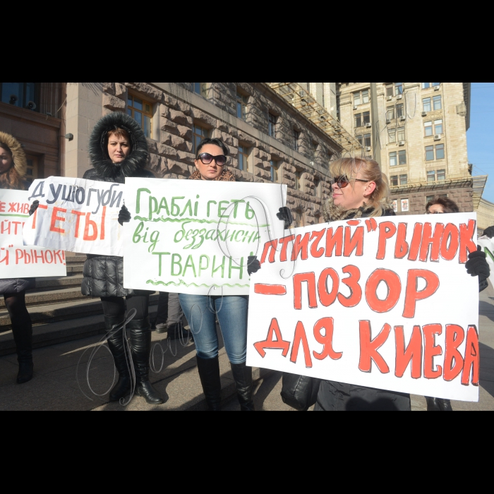 Біля Київської міської ради відбулася акція «Закрити «Пташиний ринок»!». Захисники тварин протестували проти жорстокого поводження з тваринами, якими торгують на Куренівському («Пташиному») ринку. Торговці утримують собак, котів, саламандр в холодних залізних ящиках, обробляють тварин заколисливою рідиною. Вимога акції: відміна виділення земельної ділянки для ТОВ «Куренівський ринок». Учасники акції мають намір домогтися зустрічі з Київським міським головою Віталієм Кличком. Організатори: зоозахисники Києва. 