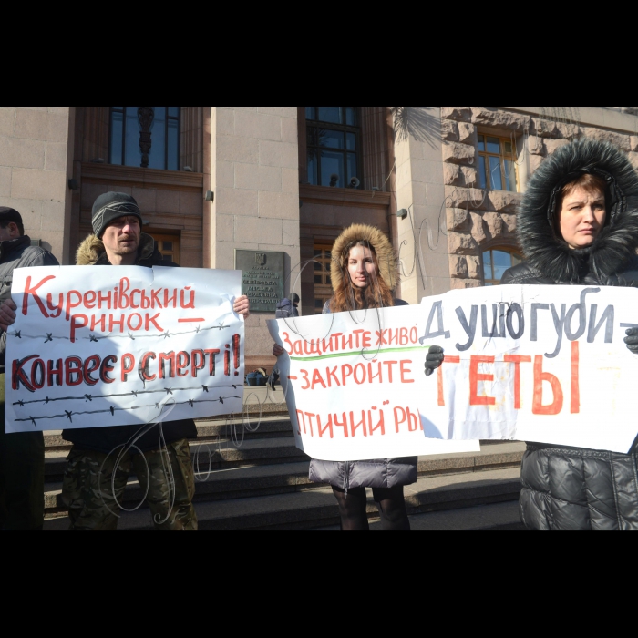 Біля Київської міської ради відбулася акція «Закрити «Пташиний ринок»!». Захисники тварин протестували проти жорстокого поводження з тваринами, якими торгують на Куренівському («Пташиному») ринку. Торговці утримують собак, котів, саламандр в холодних залізних ящиках, обробляють тварин заколисливою рідиною. Вимога акції: відміна виділення земельної ділянки для ТОВ «Куренівський ринок». Учасники акції мають намір домогтися зустрічі з Київським міським головою Віталієм Кличком. Організатори: зоозахисники Києва. 