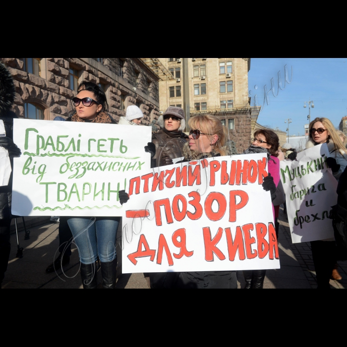 Біля Київської міської ради відбулася акція «Закрити «Пташиний ринок»!». Захисники тварин протестували проти жорстокого поводження з тваринами, якими торгують на Куренівському («Пташиному») ринку. Торговці утримують собак, котів, саламандр в холодних залізних ящиках, обробляють тварин заколисливою рідиною. Вимога акції: відміна виділення земельної ділянки для ТОВ «Куренівський ринок». Учасники акції мають намір домогтися зустрічі з Київським міським головою Віталієм Кличком. Організатори: зоозахисники Києва. 