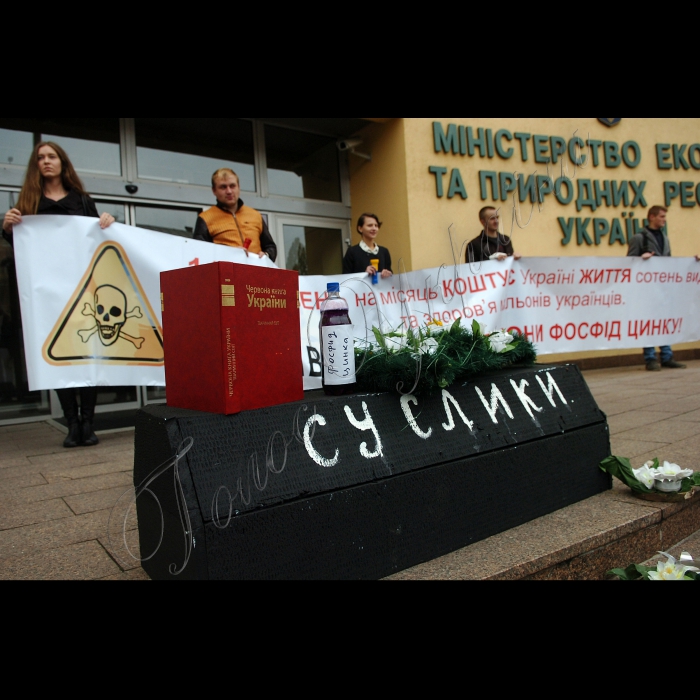 Біля Мінекології відбувся масовий театралізований пікет 