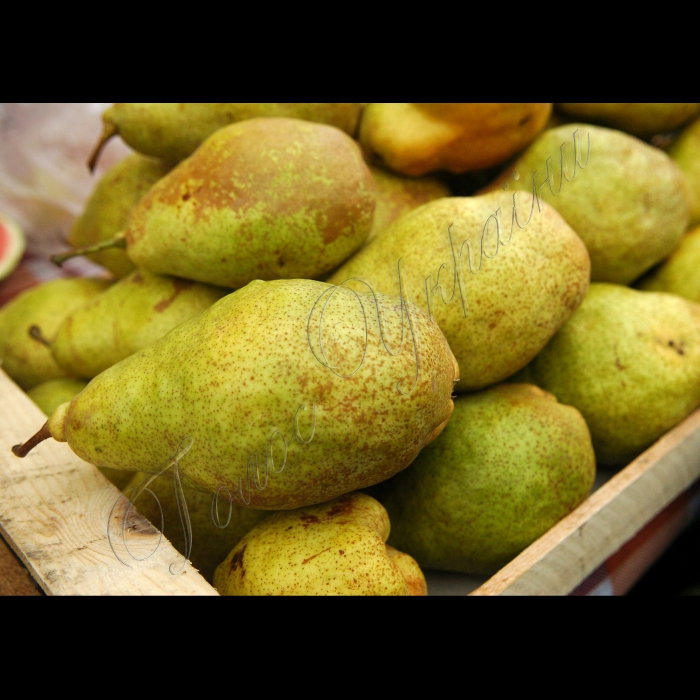 Продуктовий ярмарок біля будівлі Центральної виборчої комісії.
