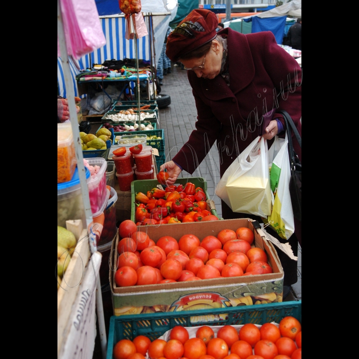 Продуктовий ярмарок біля будівлі Центральної виборчої комісії.