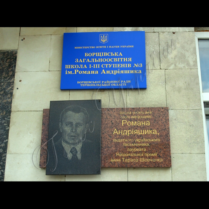 Тернопільська область, Борщівський район.
Горошівка, приватні теплиці.
