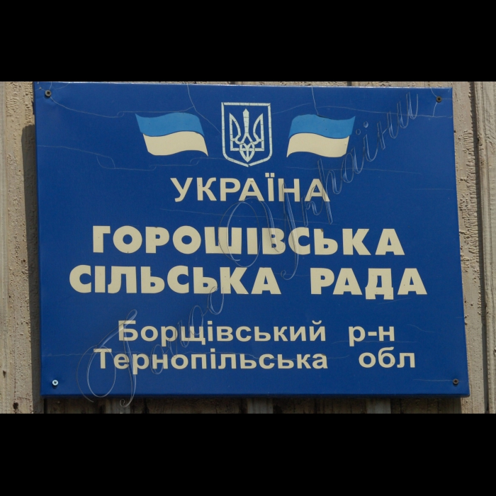 Тернопільська область, Борщівський район.
Горошівка, приватні теплиці.
