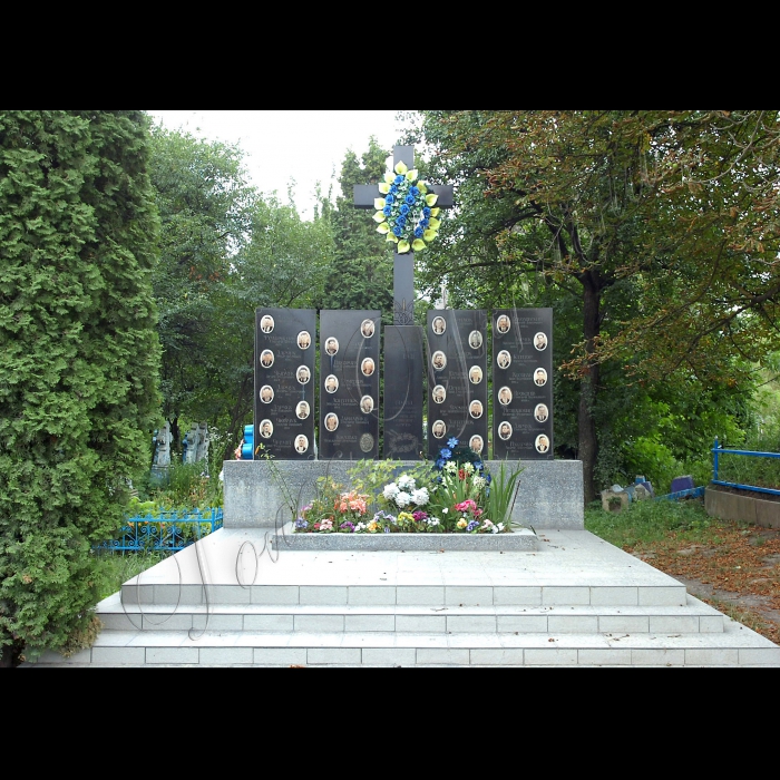 Тернопільська область, Борщівський район.
Горошівка, приватні теплиці.
