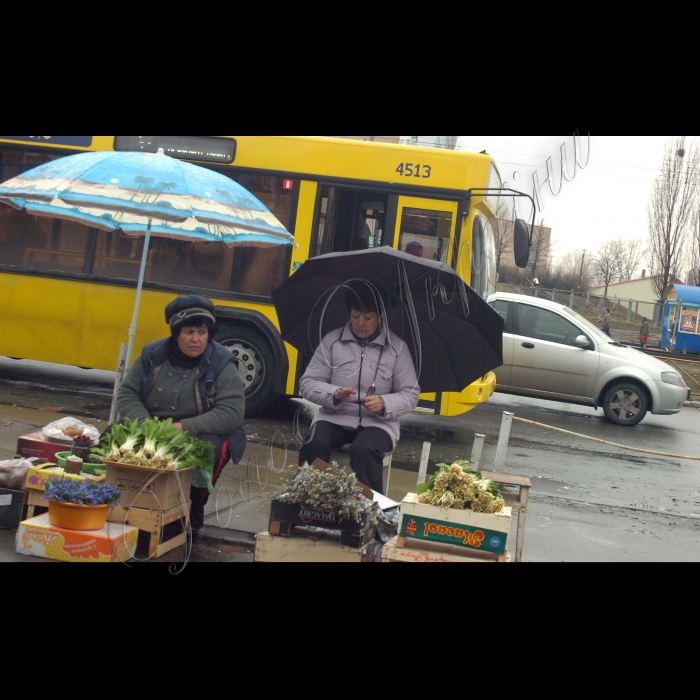 Київ, вул. Жолудєва