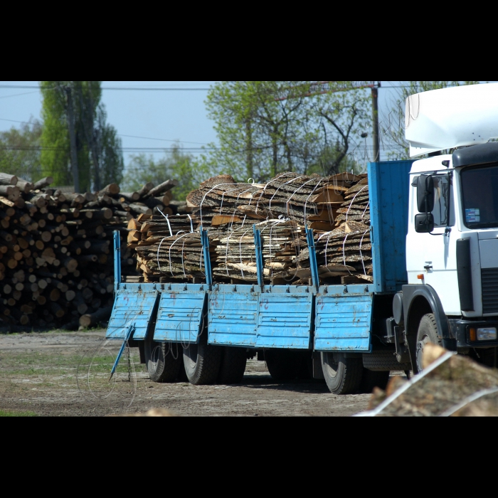 Кіровоградська область, Олександрівський район.