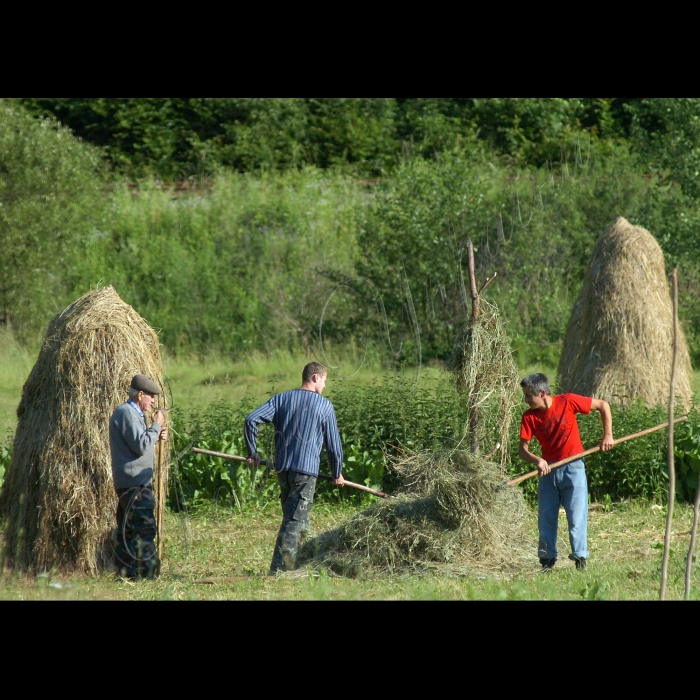 Закарпатська область.
Рахівський район.
Карпатський біосферний заповідник.