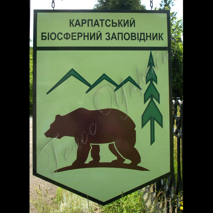 Закарпатська область.
Рахівський район.
Карпатський біосферний заповідник.