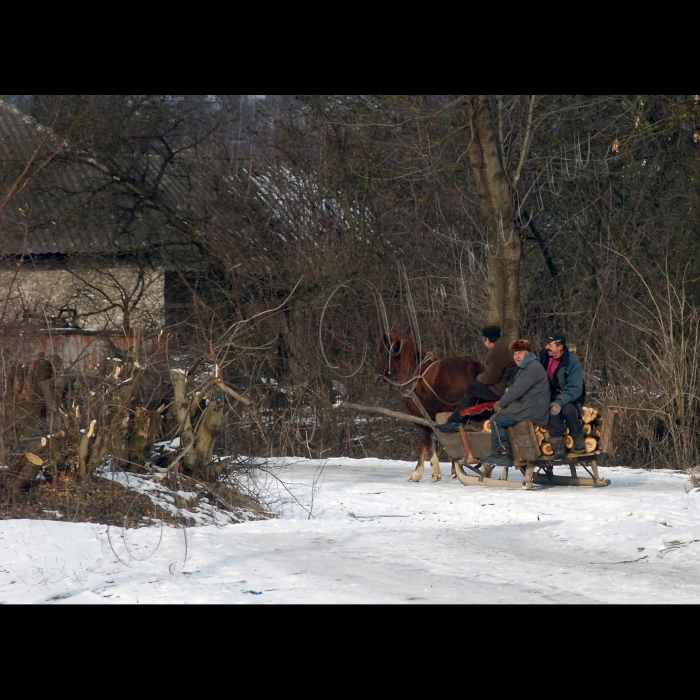 Тернопільська область Підгаєцький район, село Гнильче.
Гнильченська загальноосвітня школа І – ІІ ступенів.
