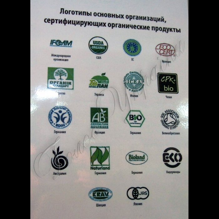 Київ, Магазин органічних продуктів на вул. Кіквідзе.