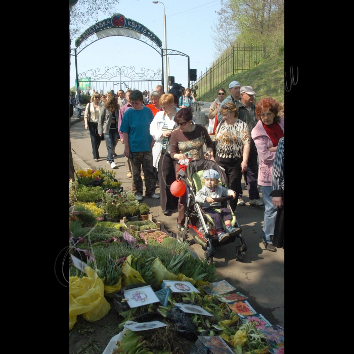 На столичному Співочому полі (Печерський ландшафтний парк) відбулося урочисте відкриття Першої Виставки ранньовесняних квітів-2011. Організатор - КП