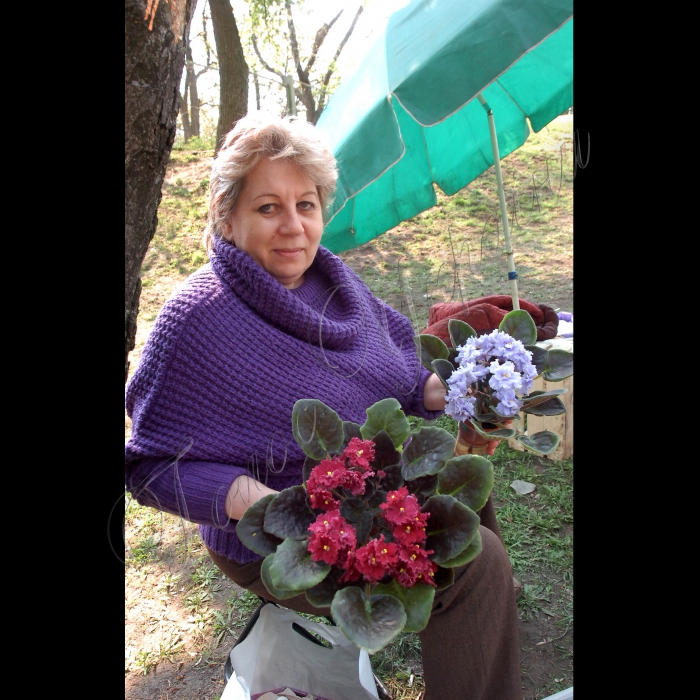 На столичному Співочому полі (Печерський ландшафтний парк) відбулося урочисте відкриття Першої Виставки ранньовесняних квітів-2011. Організатор - КП