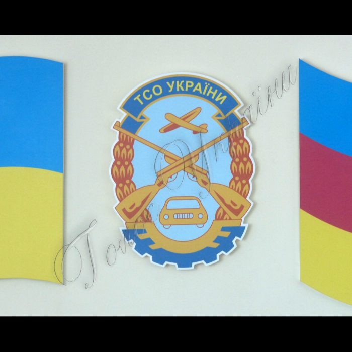 Віктор Тімченко - голова Товариства сприяння обороні України.