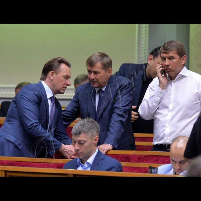 Пленарне засідання Верховної Ради України.
Олександр Біловол, Олег Кулініч 