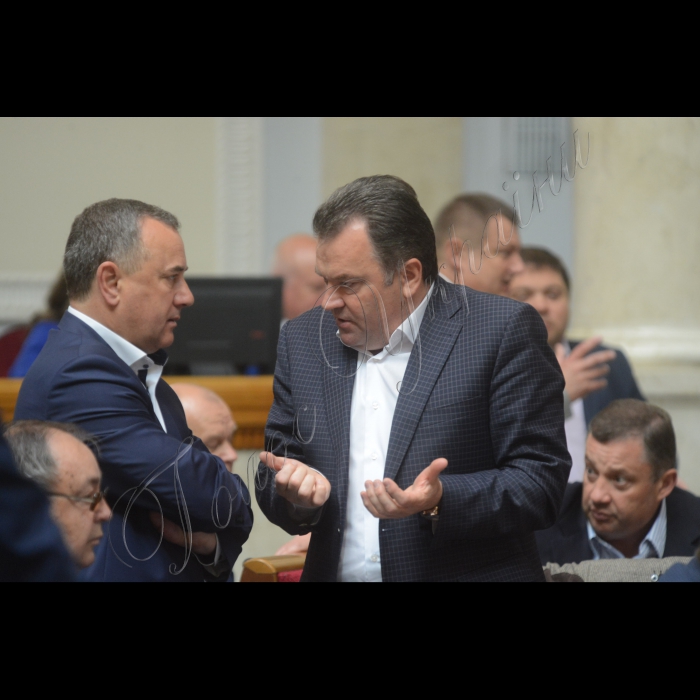 Пленарне засідання Верховної Ради України.
Олександр Домбровський Сергій Мельник БП