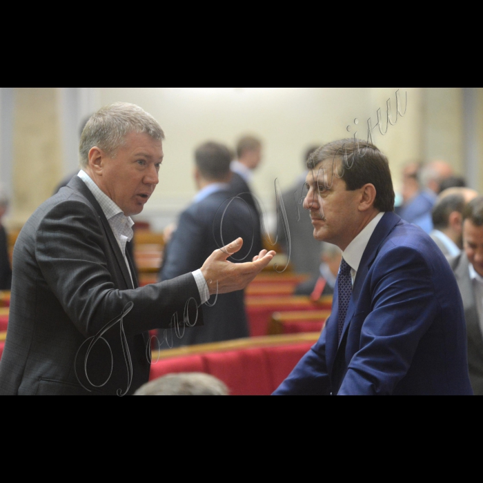 Пленарне засідання Верховної Ради України.
Сергій Ларін ОП Василь Петьовка