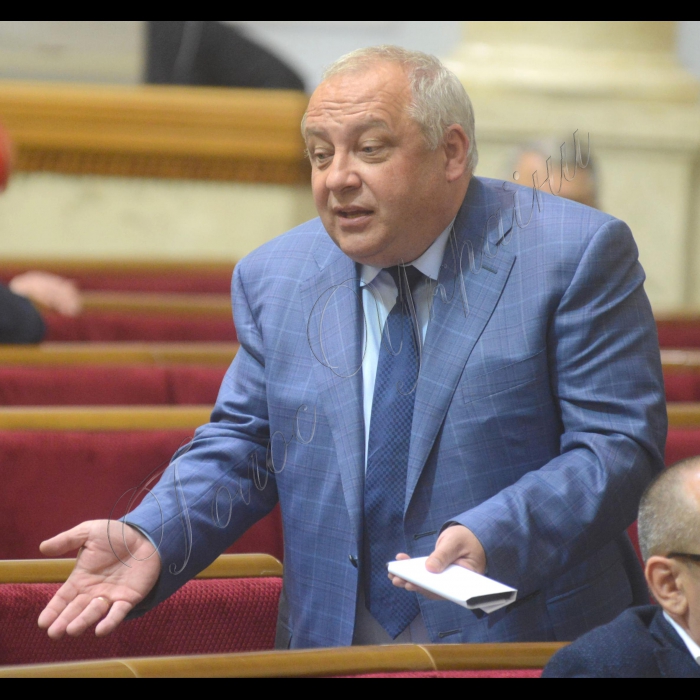 Пленарне засідання Верховної Ради України.
Ігор Гринів БП