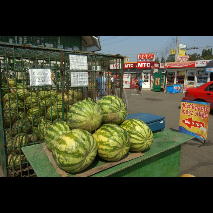 3 серпня 2010 торгівля кавунами.