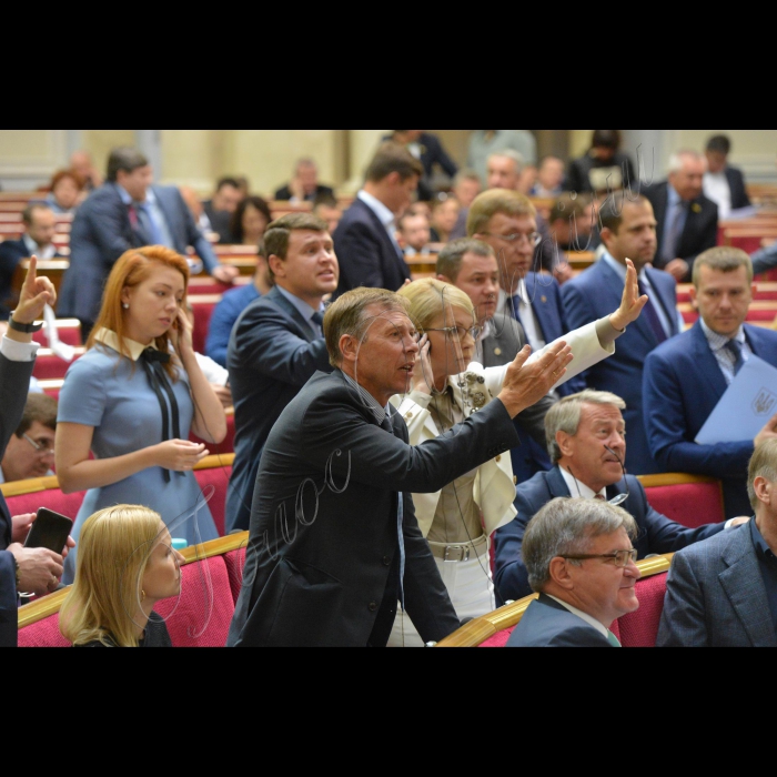 14 червня 2016 пленарне засідання Верховної Ради України. Фракція Батьківщина. Соболєв С., Тимошенко