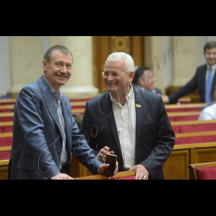17 червня 2016 пленарне засідання Верховної Ради України. Михайло Папієв ОП, Олександр Співаковський БП.