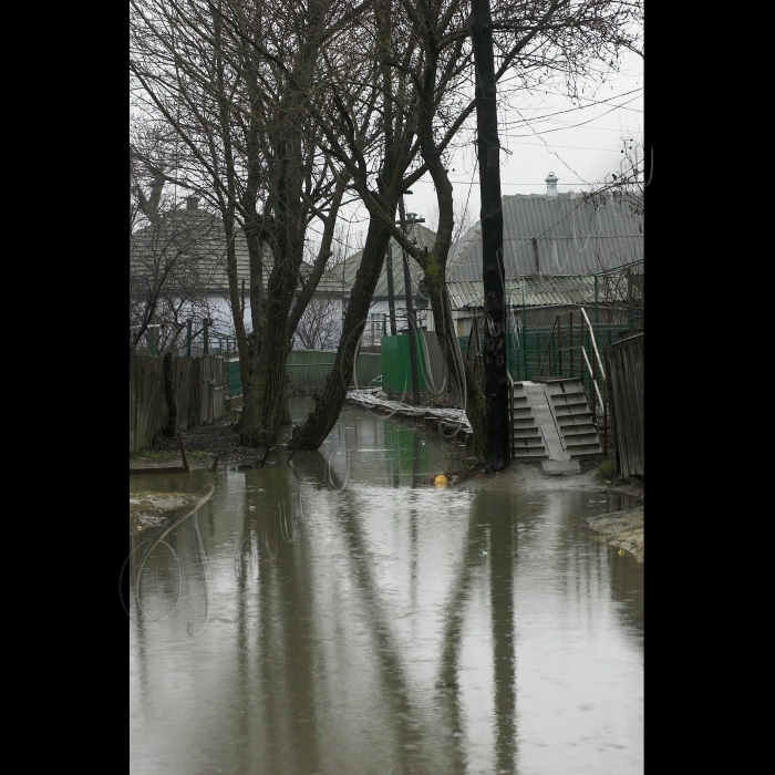 5 березня 2010 Одеська область, місто Вилкове.