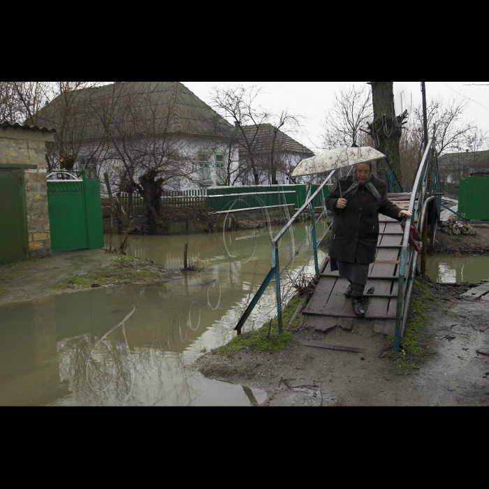 5 березня 2010 Одеська область, місто Вилкове.