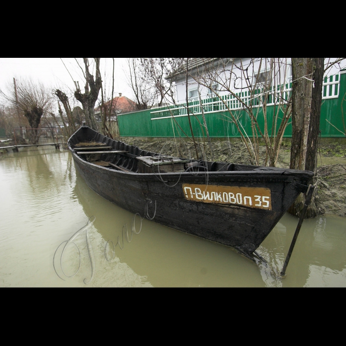 5 березня 2010 Одеська область, місто Вилкове.