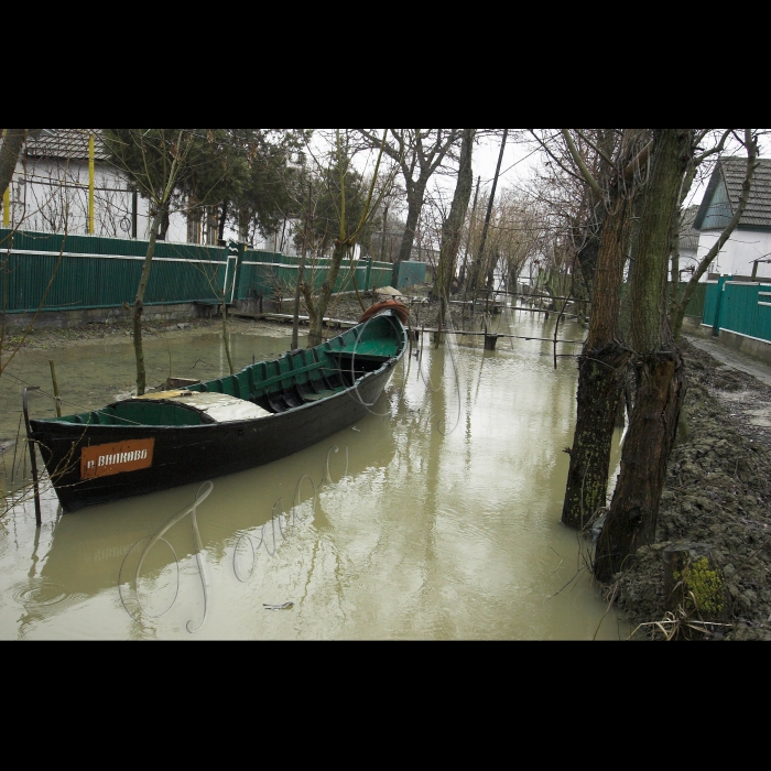 5 березня 2010 Одеська область, місто Вилкове.