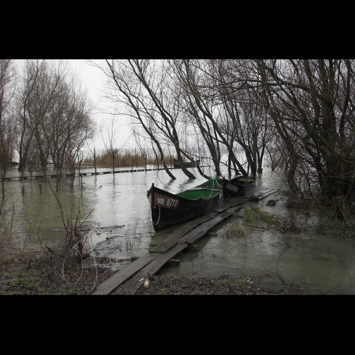 5 березня 2010 Одеська область, місто Вилкове.
