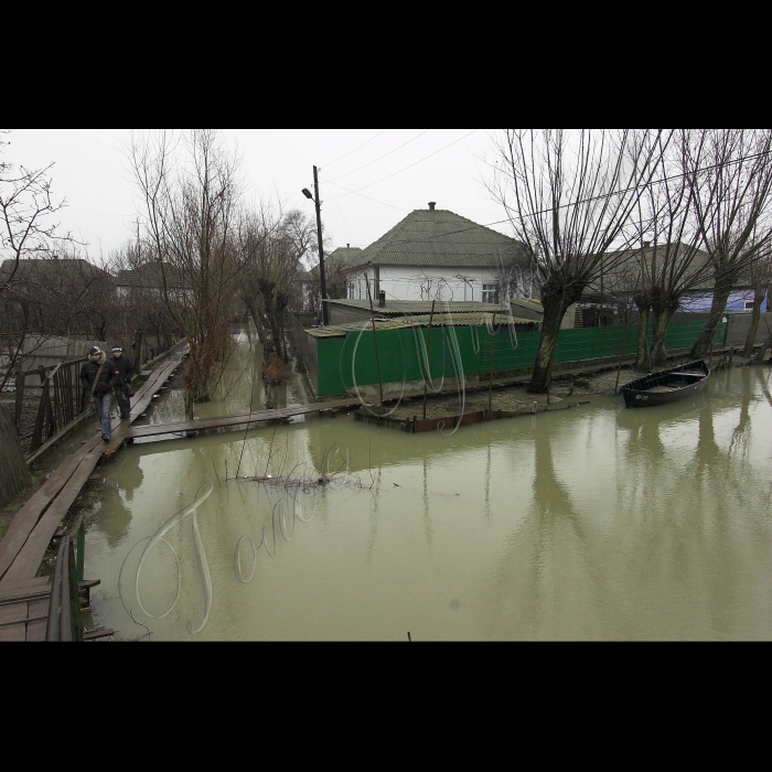 5 березня 2010 Одеська область, місто Вилкове.