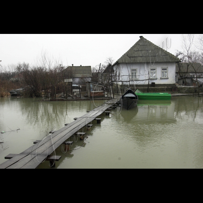 5 березня 2010 Одеська область, місто Вилкове.